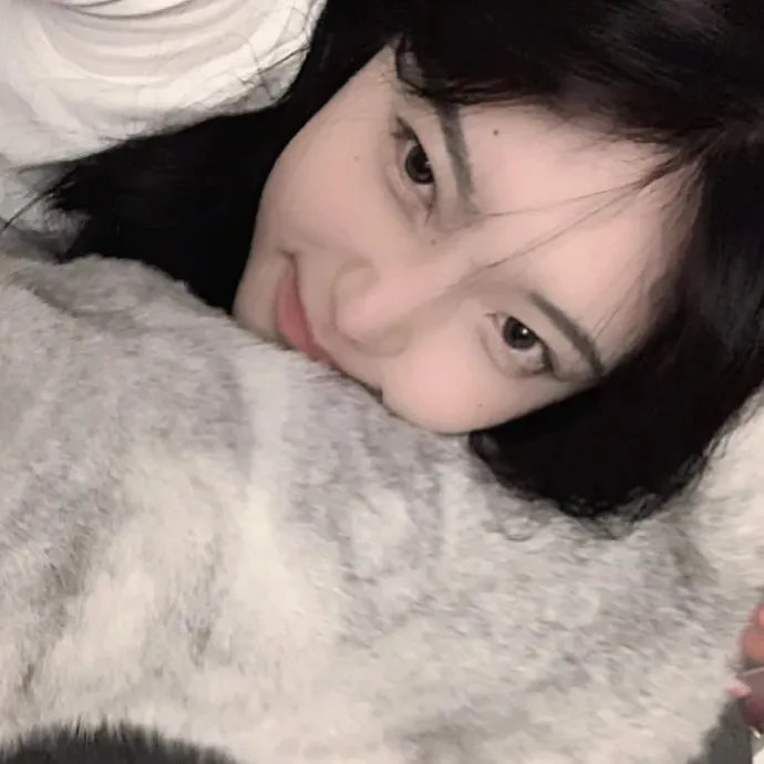 汽车女窃贼海报
