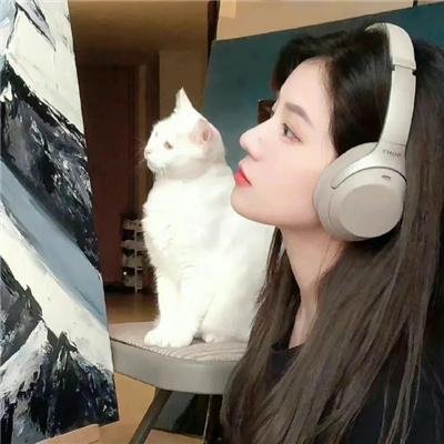 功夫特务海报